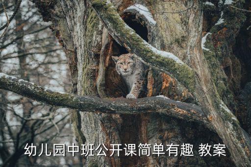 幼儿园中班公开课简单有趣 教案