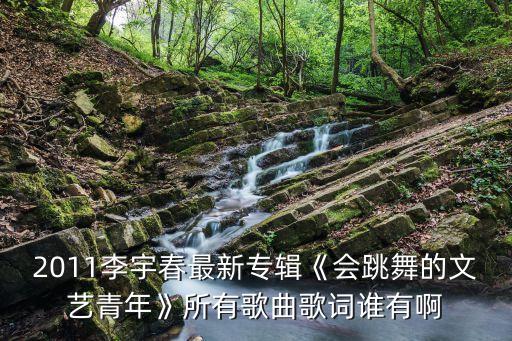 2011李宇春最新专辑《会跳舞的文艺青年》所有歌曲歌词谁有啊