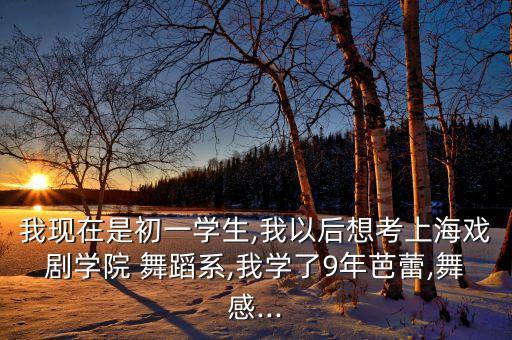 我现在是初一学生,我以后想考上海戏剧学院 舞蹈系,我学了9年芭蕾,舞感...