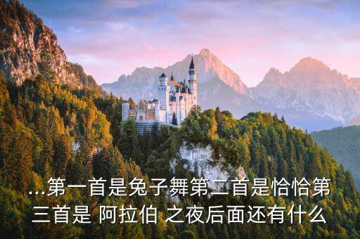 ...第一首是兔子舞第二首是恰恰第三首是 阿拉伯 之夜后面还有什么