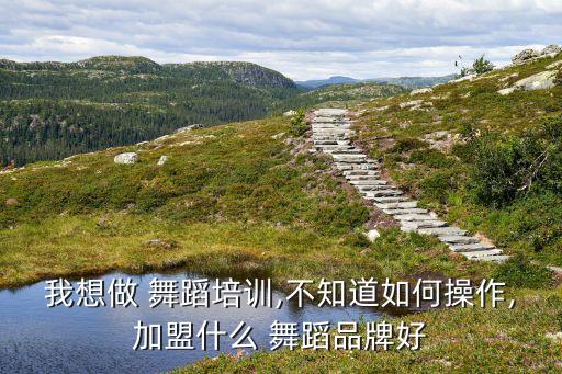 我想做 舞蹈培训,不知道如何操作,加盟什么 舞蹈品牌好