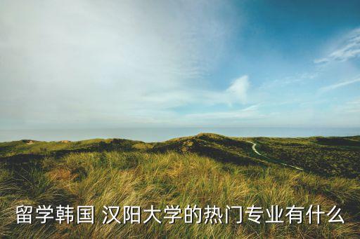 留学韩国 汉阳大学的热门专业有什么
