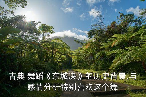 王玫 舞蹈,王玫舞蹈作品春天观后感