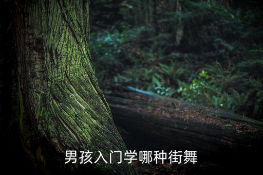 男孩入门学哪种街舞