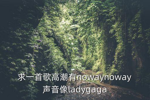 求一首歌高潮有nowaynoway声音像ladygaga