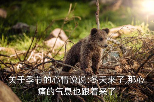 关于季节的心情说说:冬天来了,那心痛的气息也跟着来了