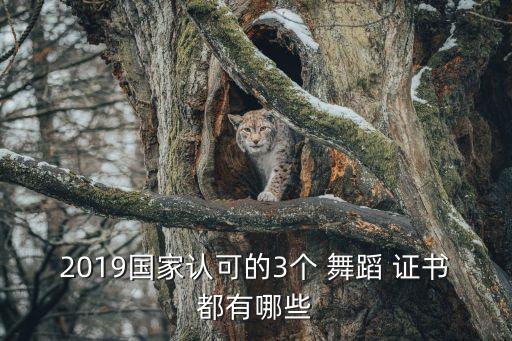 北京舞蹈学院进修有证书吗