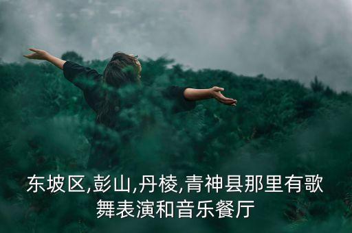 舞蹈夜来香