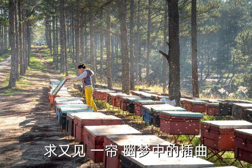 一帘幽梦舞蹈音乐