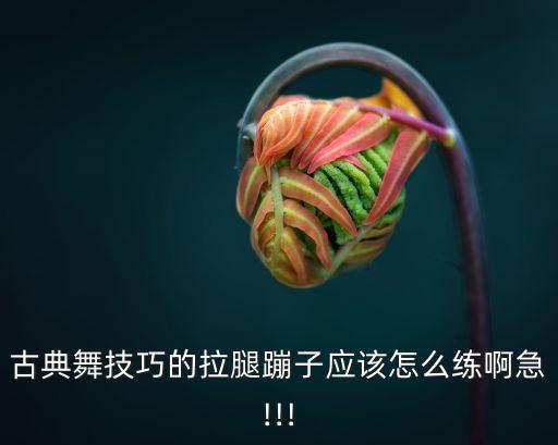 古典舞技巧的拉腿蹦子应该怎么练啊急!!!