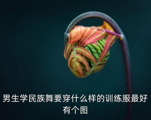 男生学民族舞要穿什么样的训练服最好有个图