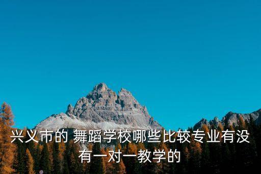 兴义市的 舞蹈学校哪些比较专业有没有一对一教学的
