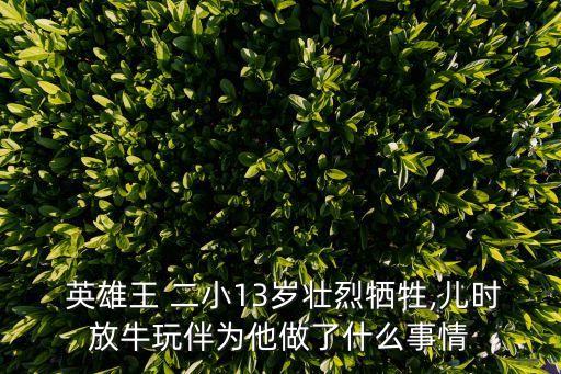 小英雄王二小舞蹈视频
