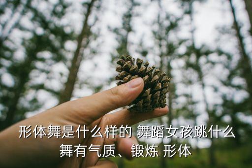  形体舞是什么样的 舞蹈女孩跳什么舞有气质、锻炼 形体