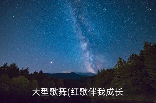 大型歌舞(红歌伴我成长