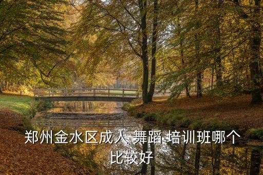  郑州金水区成人 舞蹈 培训班哪个比较好