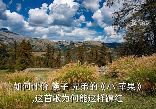 小苹果筷子兄弟儿童舞蹈,筷子兄弟小苹果舞蹈视频原版