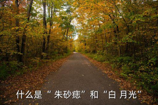什么是“ 朱砂痣”和“白 月光”