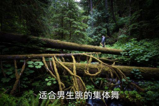 适合男生跳的集体舞