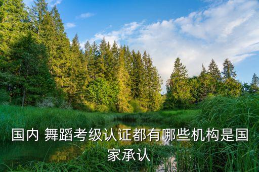 国内 舞蹈考级认证都有哪些机构是国家承认