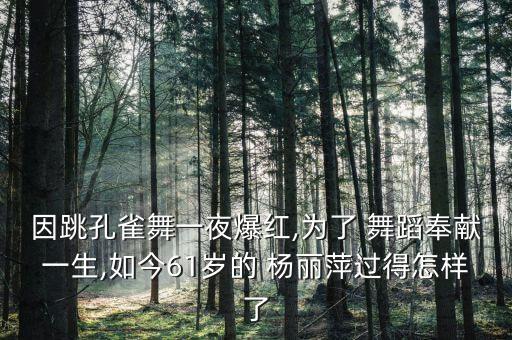 杨丽萍舞蹈视频双人,郭冷和杨丽萍的舞蹈视频