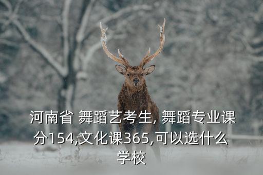 河南省 舞蹈艺考生, 舞蹈专业课分154,文化课365,可以选什么学校