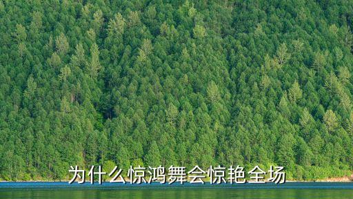 呼市小鸿雁舞蹈都在哪