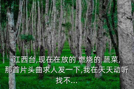 江西台,现在在放的 燃烧的 蔬菜,那首片头曲求人发一下,我在天天动听找不...