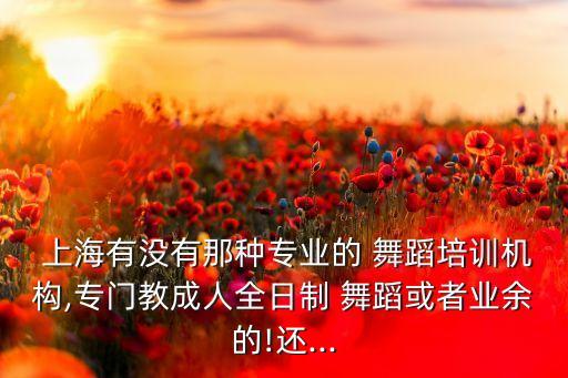 舞蹈培训班 上海