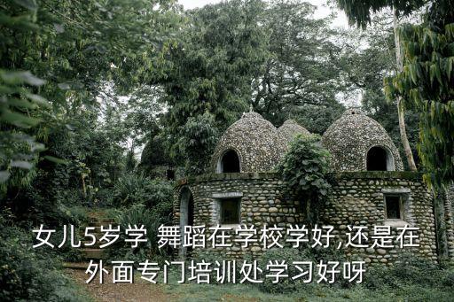 女儿5岁学 舞蹈在学校学好,还是在外面专门培训处学习好呀