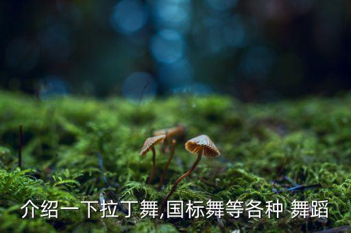 介绍一下拉丁舞,国标舞等各种 舞蹈