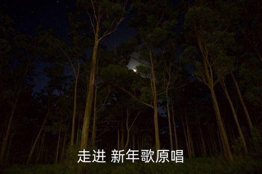 走进 新年歌原唱