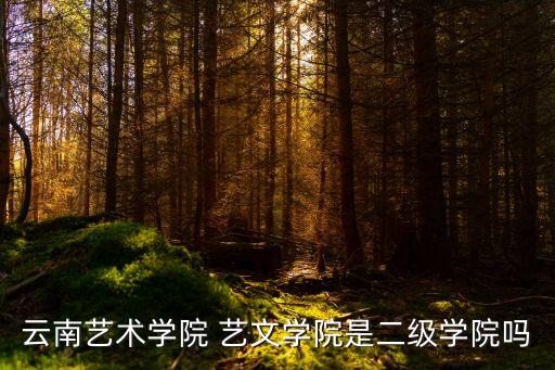 云南艺术学院 艺文学院是二级学院吗