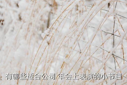 有哪些适合公司 年会上表演的小节目