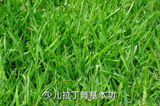 少儿拉丁舞基本功