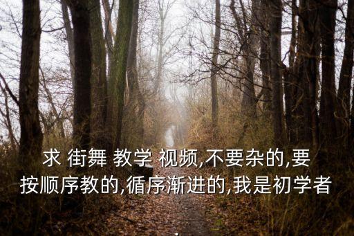 求 街舞 教学 视频,不要杂的,要按顺序教的,循序渐进的,我是初学者.