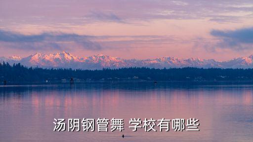 汤阴钢管舞 学校有哪些