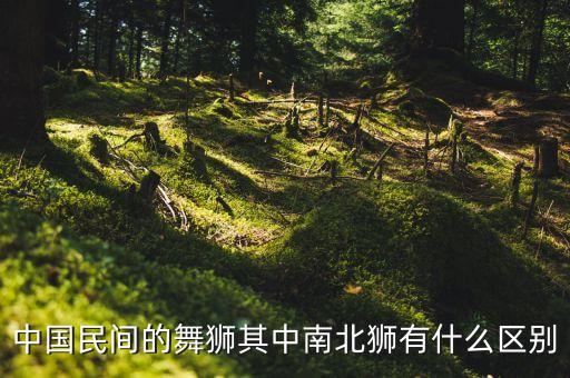 中国民间的舞狮其中南北狮有什么区别