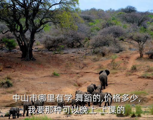 上课舞蹈