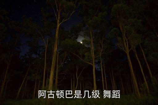中国舞蹈考级六级音乐,华彩中国舞蹈考级教材六级