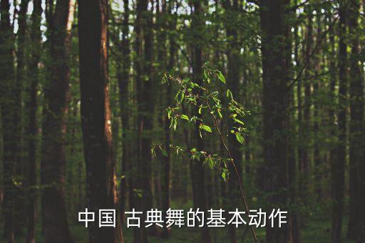 中国 古典舞的基本动作