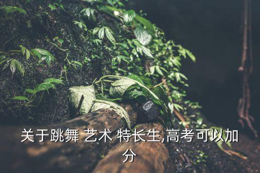 关于跳舞 艺术 特长生,高考可以加分