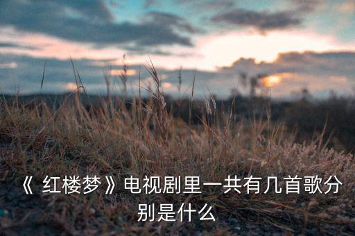 《 红楼梦》电视剧里一共有几首歌分别是什么