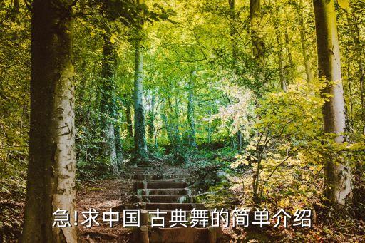急!求中国 古典舞的简单介绍
