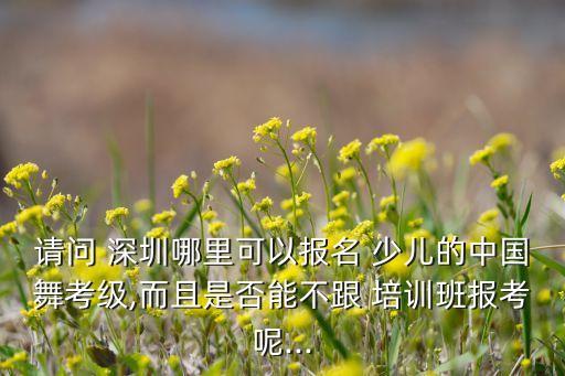 请问 深圳哪里可以报名 少儿的中国舞考级,而且是否能不跟 培训班报考呢...