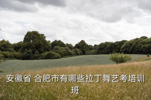安徽省 合肥市有哪些拉丁舞艺考培训班