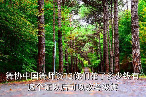 舞协中国舞师资13你们花了多少钱有这个证以后可以教考级舞