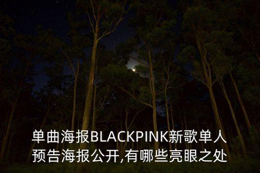 blackpink有一个踏步舞蹈甩头