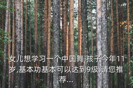 女儿想学习一个中国舞,孩子今年11岁,基本功基本可以达到9级,请您推荐...