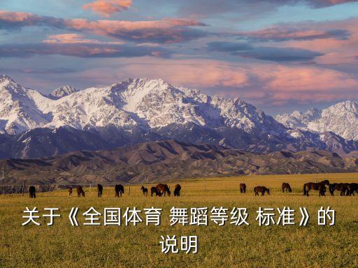 舞蹈一级如何评分标准,舞蹈比赛规则及评分标准